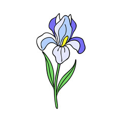 Naklejka premium iris flower illustration, flower vector art, flower icon - Minimalistic flat illustration of iris flower flower, perfect for icons, logos, and floral-themed designs.