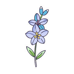 Obraz premium larkspur flower illustration, flower vector art, flower icon - Minimalistic flat illustration of larkspur flower flower, perfect for icons, logos, and floral-themed designs.