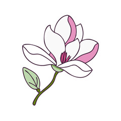 Obraz premium magnolia flower illustration, flower vector art, flower icon - Minimalistic flat illustration of magnolia flower flower, perfect for icons, logos, and floral-themed designs.