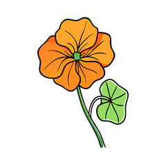 Obraz premium nasturtium flower illustration, flower vector art, flower icon - Minimalistic flat illustration of nasturtium flower flower, perfect for icons, logos, and floral-themed designs.