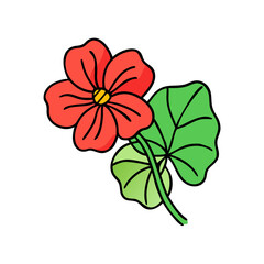 nasturtium flower illustration, flower vector art, flower icon - Minimalistic flat illustration of nasturtium flower flower, perfect for icons, logos, and floral-themed designs.

