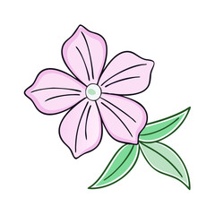 phlox flower illustration, flower vector art, flower icon - Minimalistic flat illustration of phlox flower flower, perfect for icons, logos, and floral-themed designs.

