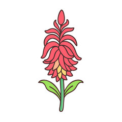 red hot poker flower illustration, flower vector art, flower icon - Minimalistic flat illustration of red hot poker flower flower, perfect for icons, logos, and floral-themed designs.

