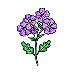 verbena flower illustration, flower vector art, flower icon - Minimalistic flat illustration of verbena flower flower, perfect for icons, logos, and floral-themed designs.

