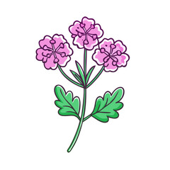 verbena flower illustration, flower vector art, flower icon - Minimalistic flat illustration of verbena flower flower, perfect for icons, logos, and floral-themed designs.

