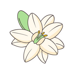 Obraz premium yucca flower illustration, flower vector art, flower icon - Minimalistic flat illustration of yucca flower flower, perfect for icons, logos, and floral-themed designs.