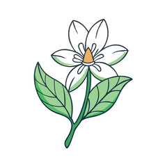 anemopsis yerba mansa icon, flower line art, flower icon - Minimalistic black outline illustration of anemopsis yerba mansa flower, perfect for icons, logos, and floral-themed designs.

