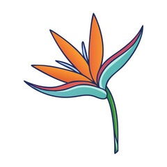 Fototapeta premium bird of paradise flower illustration, flower vector art, flower icon - Minimalistic flat illustration of bird of paradise flower flower, perfect for icons, logos, and floral-themed designs.