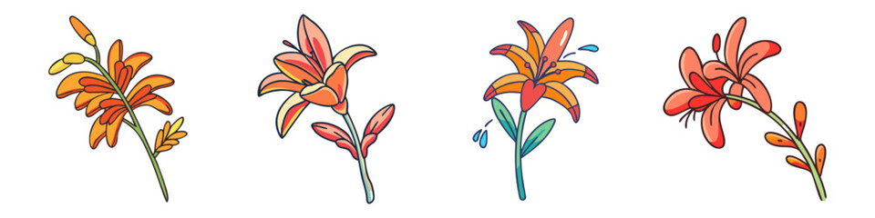 crocosmia flower illustration, flower vector art, flower icon - Minimalistic flat illustration of crocosmia flower flower, perfect for icons, logos, and floral-themed designs.

