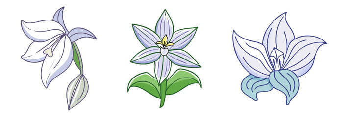 hosta flower illustration, flower vector art, flower icon - Minimalistic flat illustration of hosta flower flower, perfect for icons, logos, and floral-themed designs.

