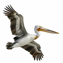 A pelican is flying in the sky with its beak open