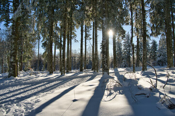 Winter auf dem Champ du Feu in den Vogsen