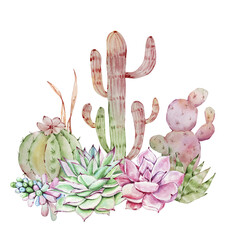 Watercolor cactus and succulent composition, tropical plants, botanical illustration
