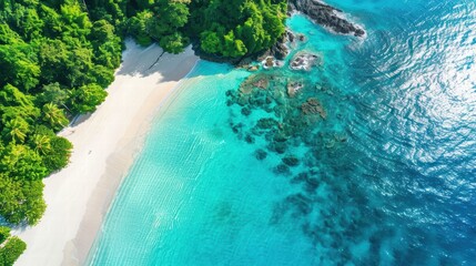 Aerial View of Serene Tropical Beach