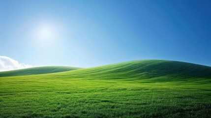 Obraz premium Serene Green Hills Under a Bright Sunny Sky