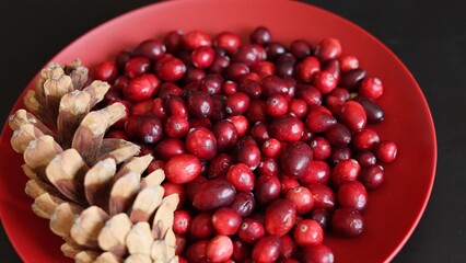  Cranberries in rich shades of red contrast with natural pinecones on plate, representing organic simplicity. Eco-conscious arrangement celebrates beauty of organic produce, highlighting eco values.
