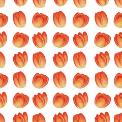 Floral Pattern.Flowers tulips. Yellow tulips in watercolor.
petal, stem, leaf. Collection of illustrations. Seamless pattern. Floral, bright. Tulip on a white background.

