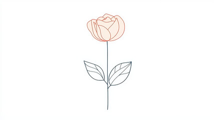 graphic resource about rose