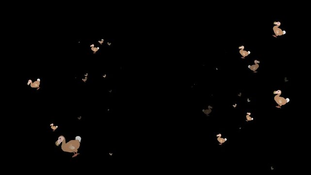 animated emoji dodo bird, digital dodo, motion dodo bird, animated bird emoji, dodo emoji, virtual dodo, cartoon dodo bird, emoji extinct bird, funny dodo emoji, 3D dodo emoji, animated cute dodo, dod