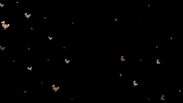 animated emoji dodo bird, digital dodo, motion dodo bird, animated bird emoji, dodo emoji, virtual dodo, cartoon dodo bird, emoji extinct bird, funny dodo emoji, 3D dodo emoji, animated cute dodo, dod