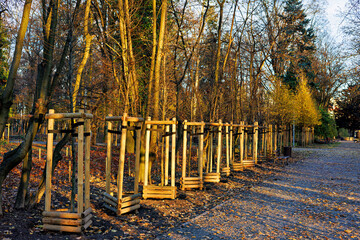 Seedlings of young trees with protective barriers are planted in the park.