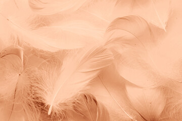 fluffy feathers toned with Very Peri color