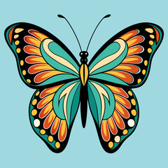 butterfly illustration