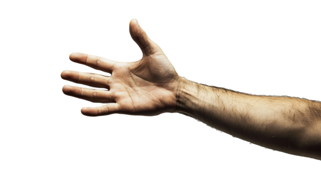 empty Hand holding  isolated on white transparent background