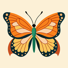 butterfly illustration