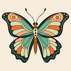 butterfly illustration