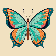 butterfly illustration