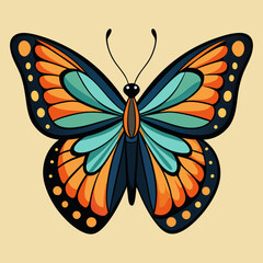 butterfly illustration