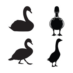 set of black swans silhouette vector drawing art design illustration