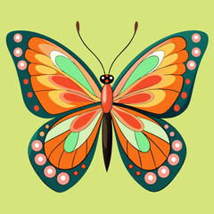 butterfly illustration