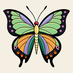 butterfly illustration