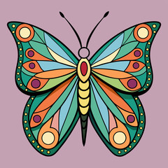 butterfly illustration
