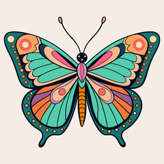 butterfly illustration