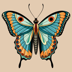 butterfly illustration