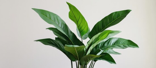 Realistic artificial indoor plant with lush green leaves ideal for enhancing home decor and modern interior design aesthetics