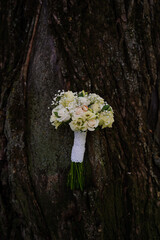 A Beautiful Wedding Bouquet Against a Rustic Tree Background