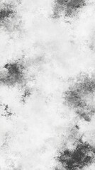 Abstract grayscale texture with mottled, cloudy, and speckled patterns.