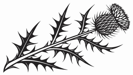 thistle vector silhouette