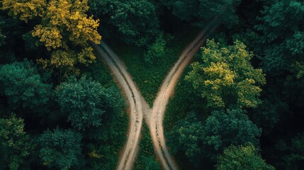 A single path diverging into two, symbolizing choices and decisions