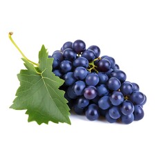 Fototapeta premium A group of black grapes with green leaves on a white background
