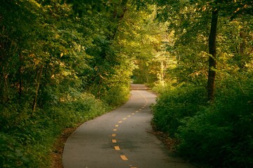 Naklejka premium Trail in the woods in Van Cortlandt Park, The Bronx, New York City
