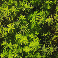 seamless moss pattern