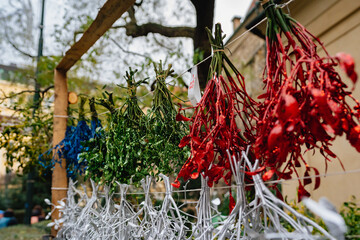 Prague, Prague, Czech Republic - March 12, 2024: Colorful Dried Plants Display with Blue Green and Red Arrangements