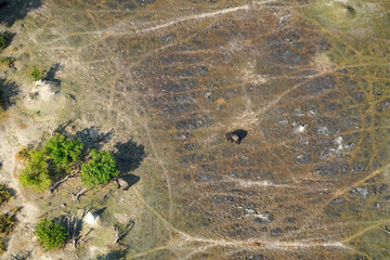 Delta de l'Okavango vu d'hélicoptère , Botswana, Afrique australe