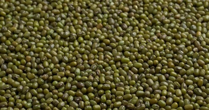 Raw dried mung beans as an background texture. Table spin.