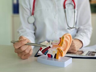 Doctor sits at a table in a hospital, discussing hearing loss, tinnitus